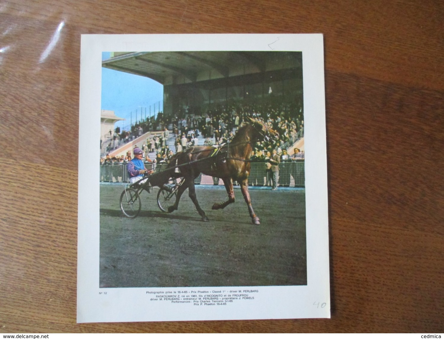 PRIX PHAETON LE 16-4-65 RASKOLNIKOV Z NE EN 1961 FILS D'INCOGNITO DRIVER M. PERLBARG PROPRIETAIRE J.POWELS    27cm/18cm - Deportes