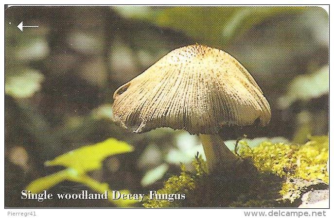 CARTE-MAGNETIQUE-JERSEY-CHAMPIGNON-WOODLAND DECAY  FUNGUS-TBE - [ 7] Jersey And Guernsey