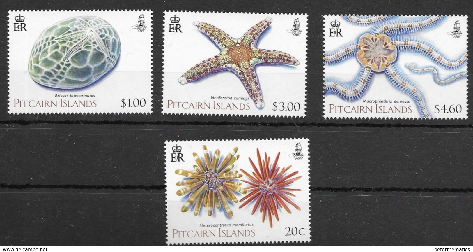 PITCAIRN ISLAND, 2019, MNH, MARINE LIFE, ECHINODERMS, STARFISH, 4v - Maritiem Leven