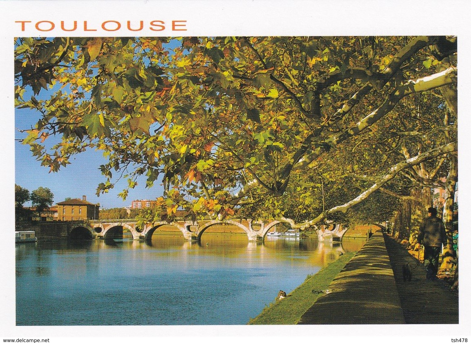 31----TOULOUSE----balade Au Bord Des Quais En Autonne  Le Pont Neuf---voir 2 Scans - Toulouse