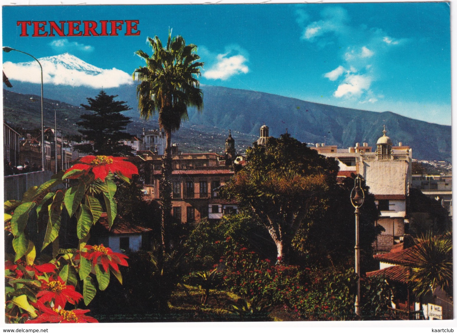 Tenerife - Orotava, Al Fondo El  Teide - (Islas Canarias) - Tenerife