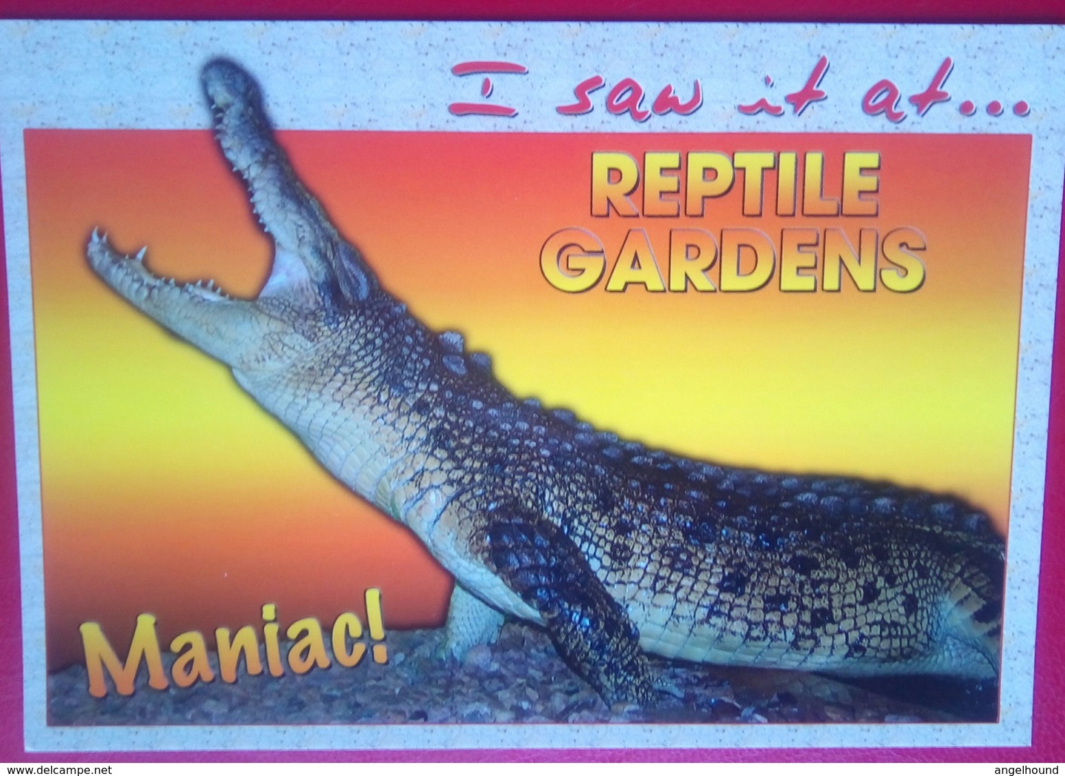 Reptile Gardens Crocodile - Rapid City