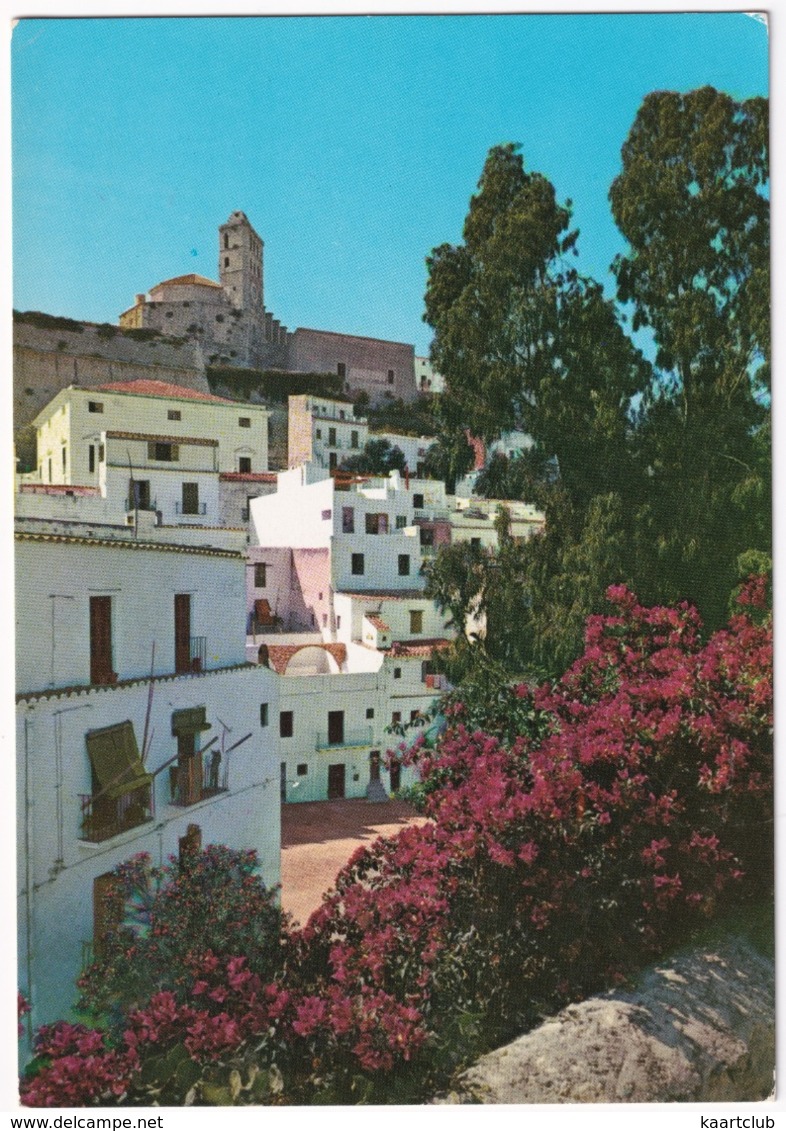 Ibiza - Ciudad Alta Y Catedral - (Ibiza, Baleares) - Ibiza