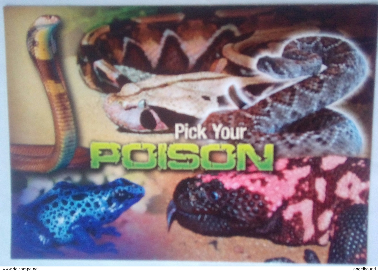 Reptile Gardens Snakes - Rapid City