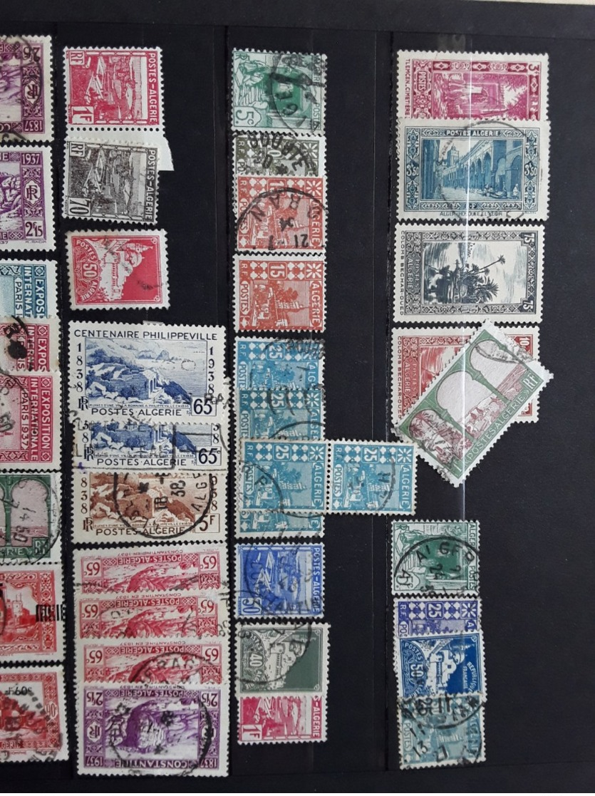 Algérie Collection Cote 290€ - Andere & Zonder Classificatie