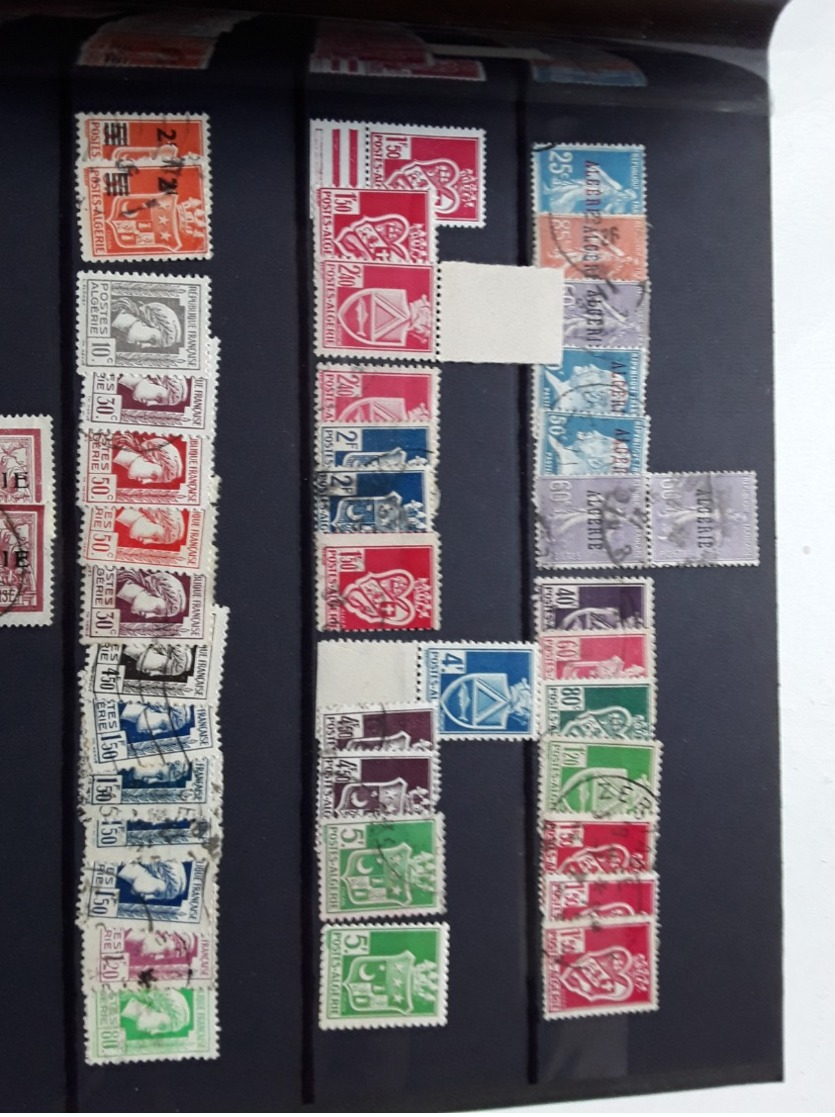 Algérie Collection Cote 290€ - Andere & Zonder Classificatie