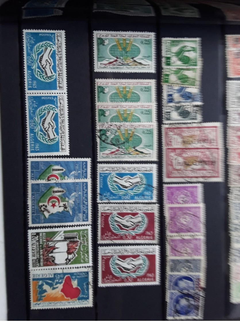 Algérie collection cote 290€