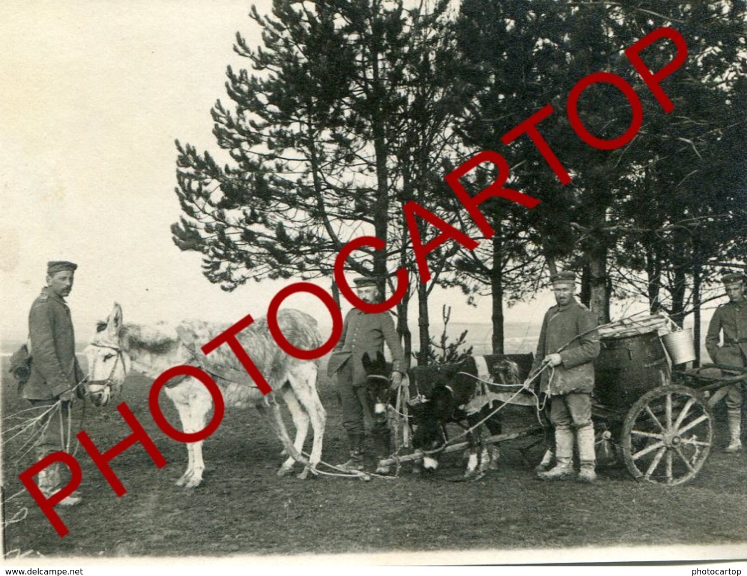 RIPONT-Positions-1x CARTE PHOTO + 9 Petites Photos Allemandes-Guerre14-18-1WK-France-51-Militaria- - Ville-sur-Tourbe