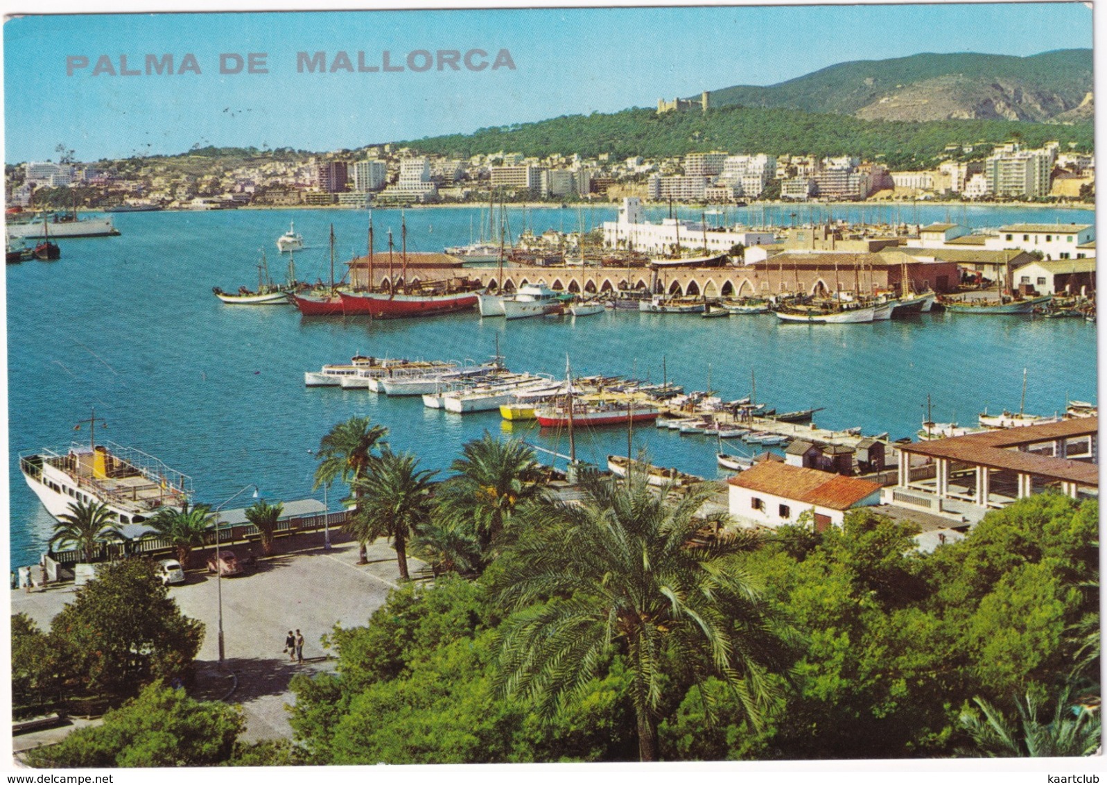 Palma De Mallorca - Club Nautico - (Mallorca, Baleares) - Palma De Mallorca