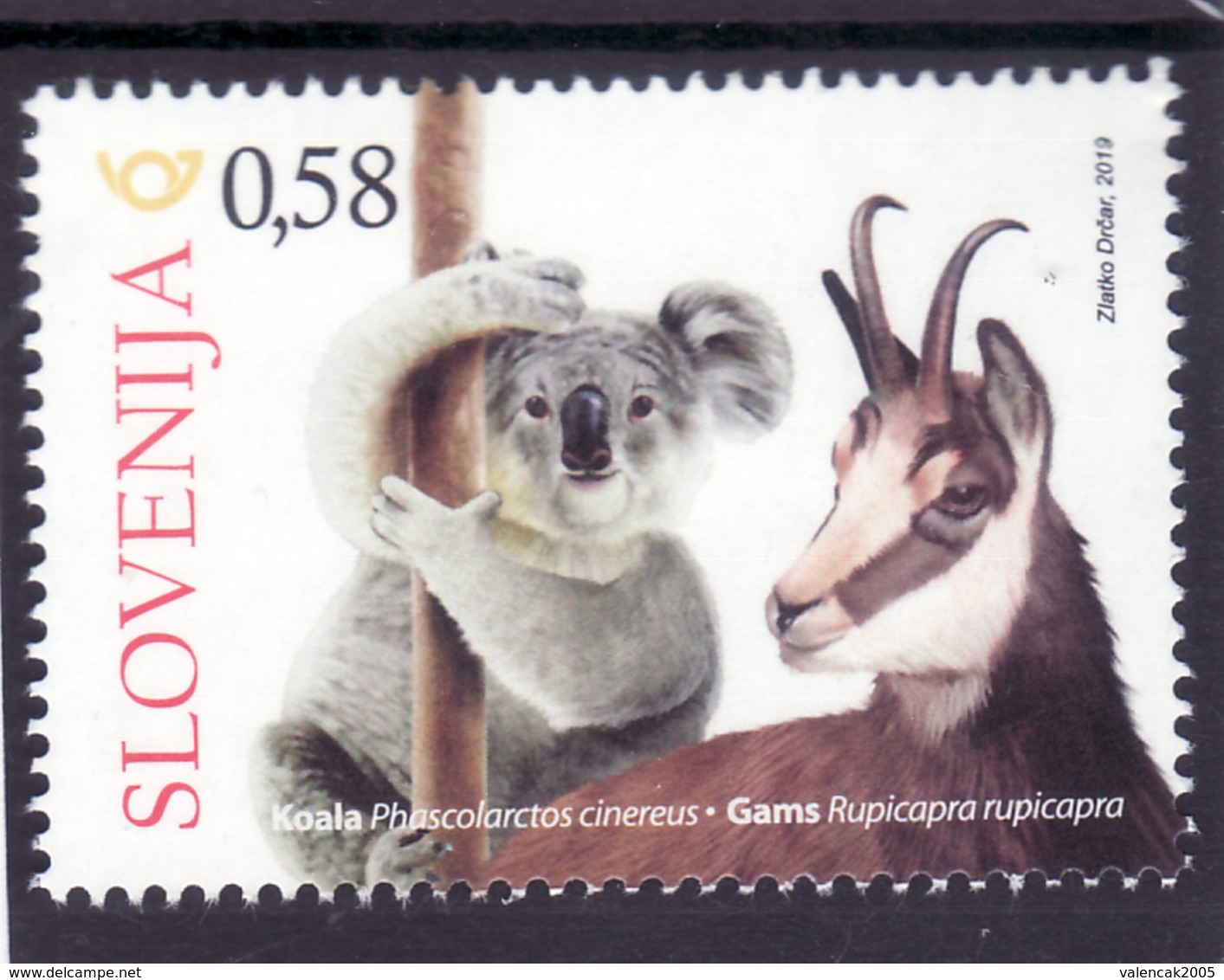 3333 A89 Slowenien Slovenia 2019 ** MNH Wild Animal Koala Chamois Gams Slovenes In Australia - Sonstige & Ohne Zuordnung