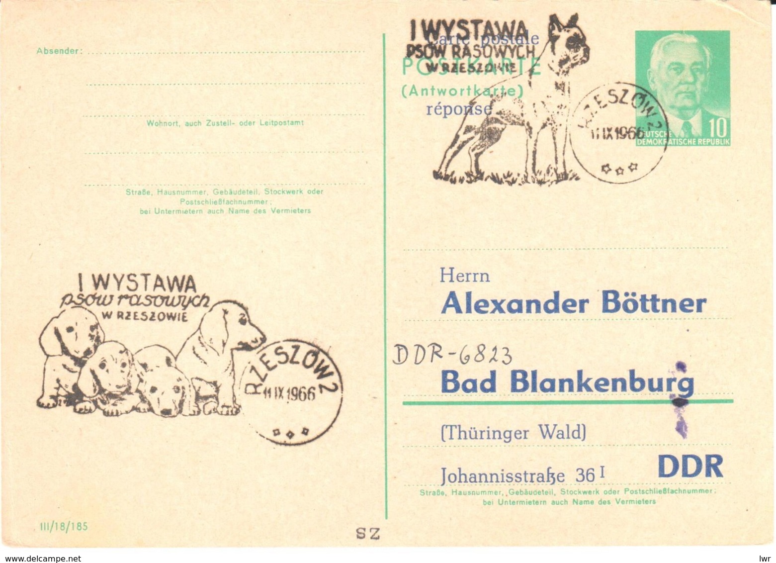 DDR Stationery - Dog - Dogs - Puppies - Chiots - Autres & Non Classés