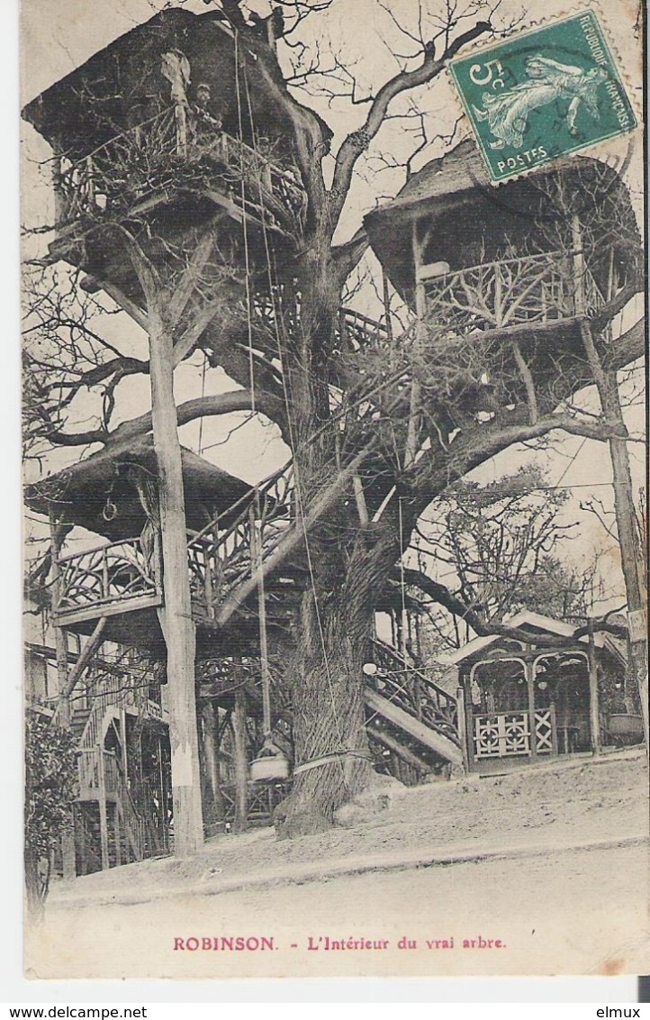 LE PLESSIS ROBINSON. CPA Voyagée En 1910 L'Intérieur Du Vrai Arbre - Le Plessis Robinson