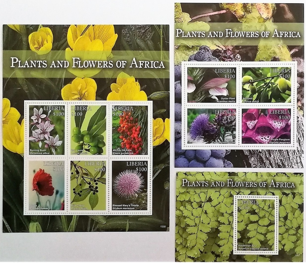 # Liberia 2016**Mi.6897-6907 African Plants And Flowers , MNH  [17II;50,51] - Otros & Sin Clasificación