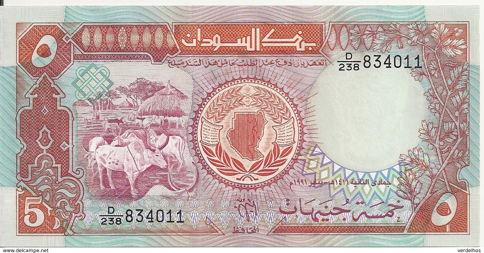 SOUDAN 5 POUNDS 1991 UNC P 45 - Soedan