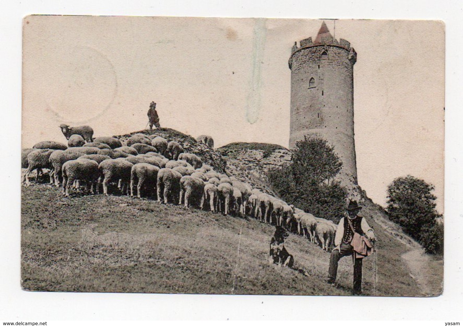 Muravyovo (?). Kovno Gub. Shepherd And Sheep. - Lituania