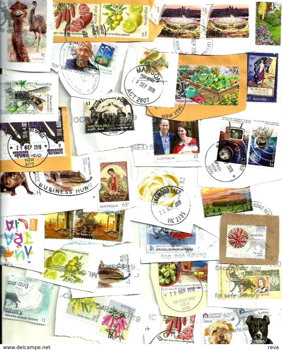 AUSTRALIA LOT5 MIXTURE OF50+USED STAMPS SOME 2018/19 INC.NEW"BEE"$1,,"GARDEN"$1,ETC READ DESCRIPTION!! - Used Stamps