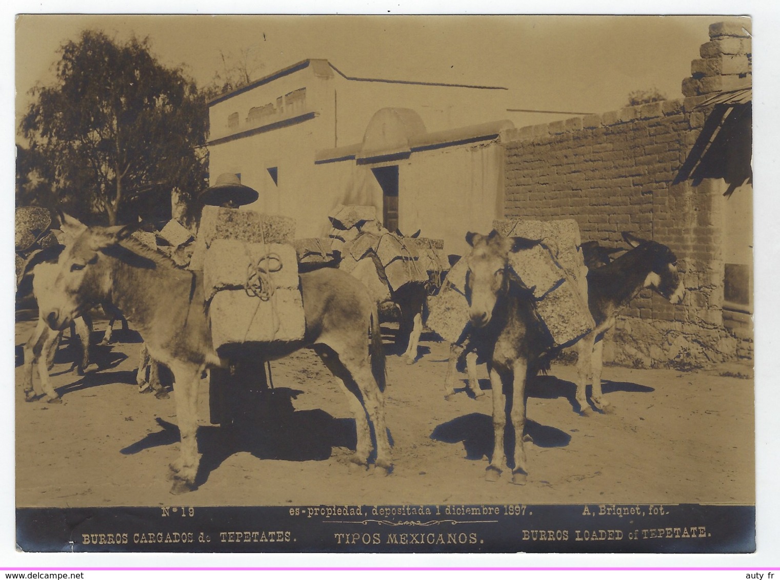 Photo  A. BRIQUET. - MEXICO - Tipos Mexicanos - Burros Cargados De Tepetates - 1897 - Anciennes (Av. 1900)