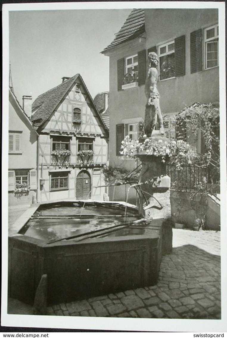 MARBACH Schillers Geburtshaus Brunnen Mit Dem Wilden Mann - Marbach