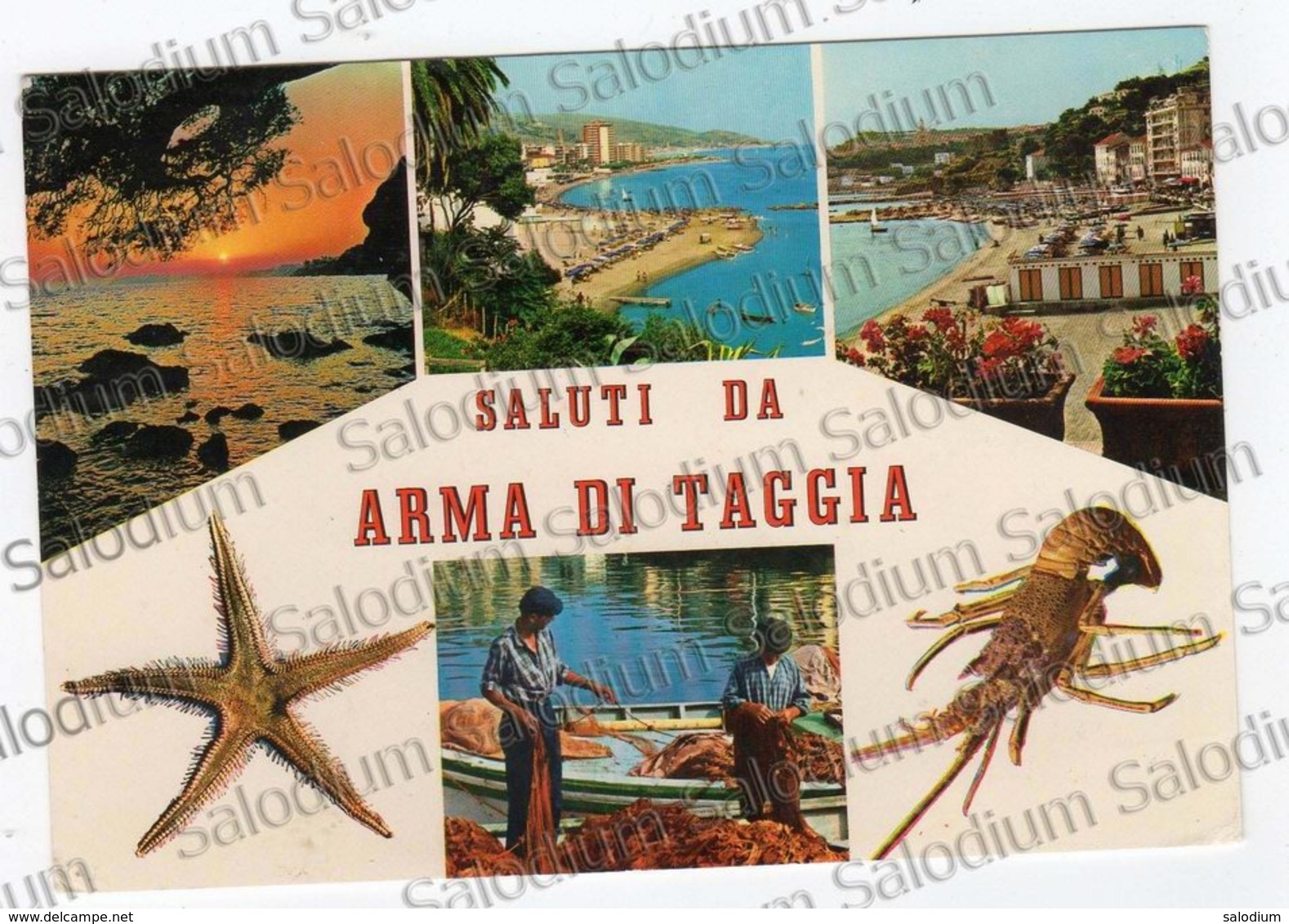 Saluti Da Arma Di Taggia - Pesca Pescatore Stella Marina Crostacei Aragosta Seastar - Imperia