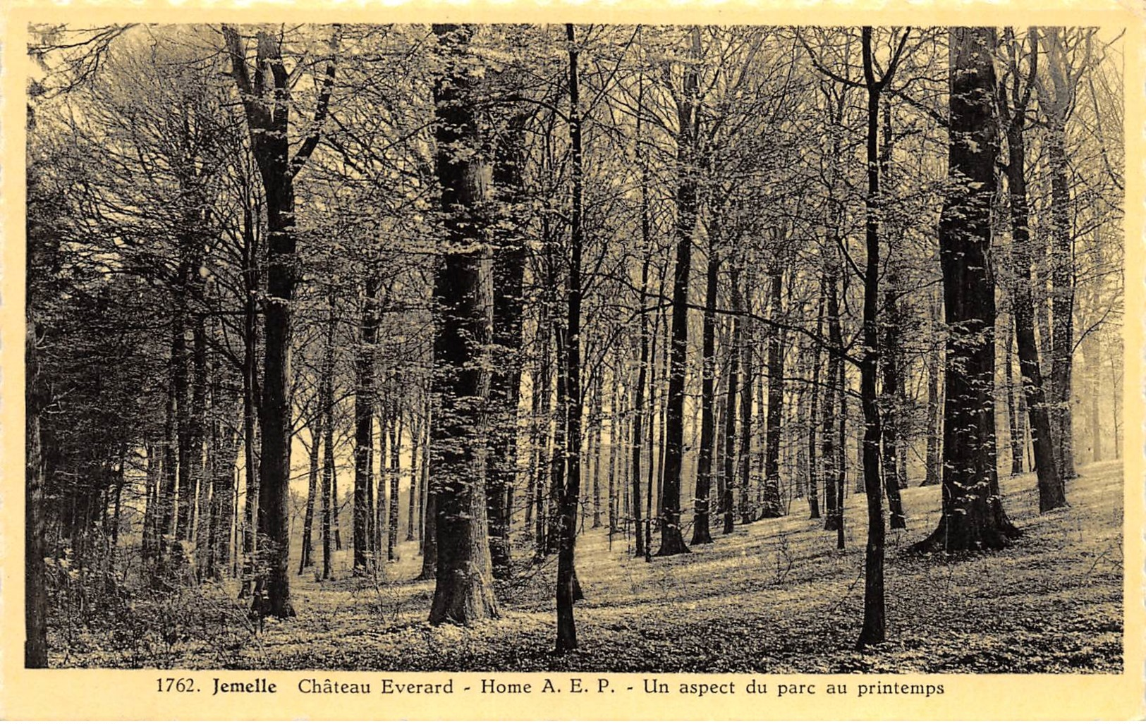 Jemelle - Château Everard - Un Aspect Du Parc Au Printemps - Ed. Arduenna - Rochefort