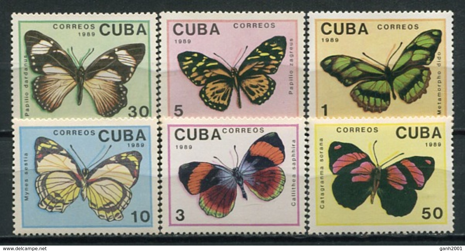 Cuba 1989 / Butterflies MNH Mariposas Papillons Schmetterlinge / Cu8525  C3-8 - Mariposas