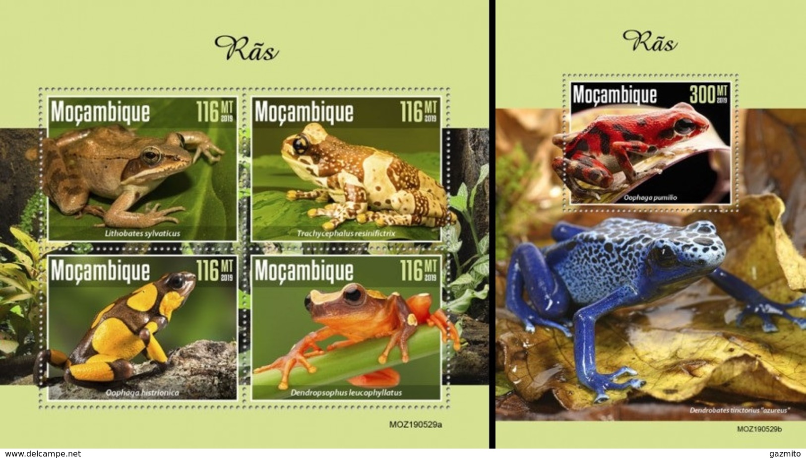Mozambico 2019, Animals, Frogs, 4val In BF +BF - Rane