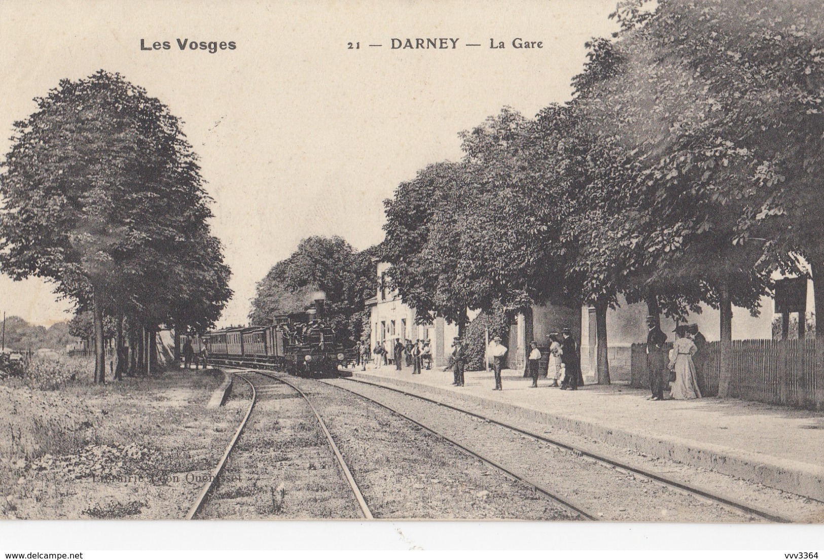 DARNEY: La Gare (train à Vapeur) - Darney