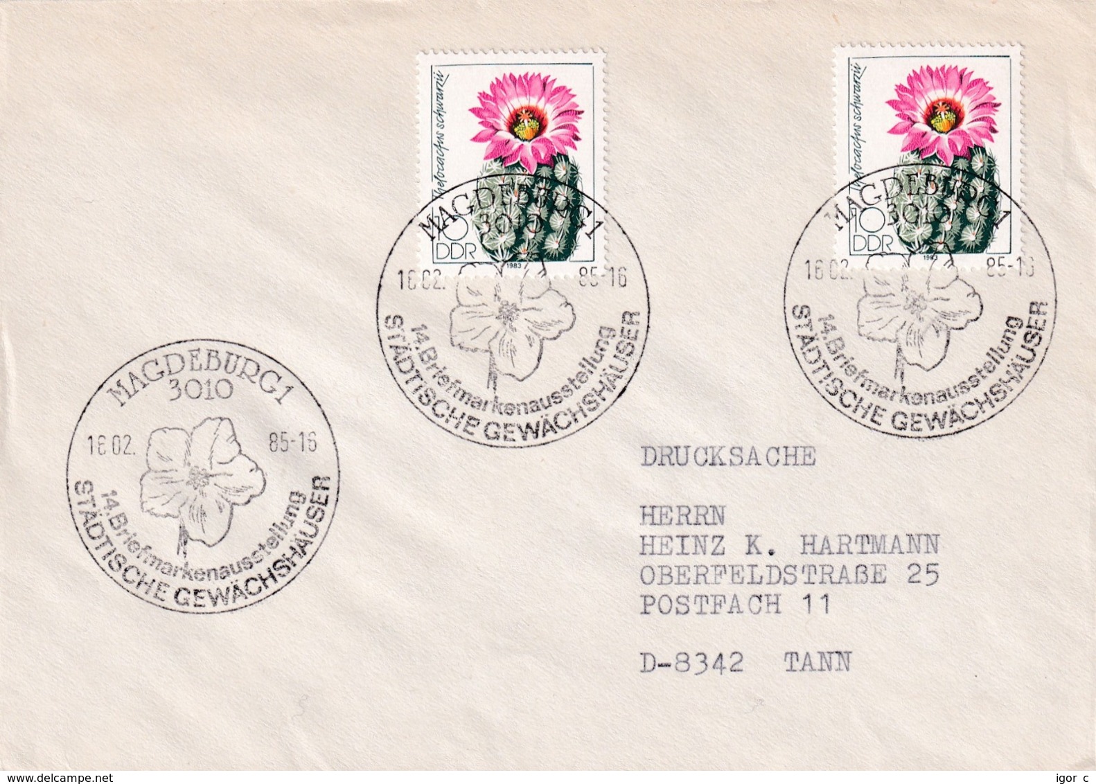 Germany DDR 1985 Cover; Flora Flowers;  Cactus Kaktus Magdeburg Städtische Gewächshäuser Exhibition - Sonstige & Ohne Zuordnung