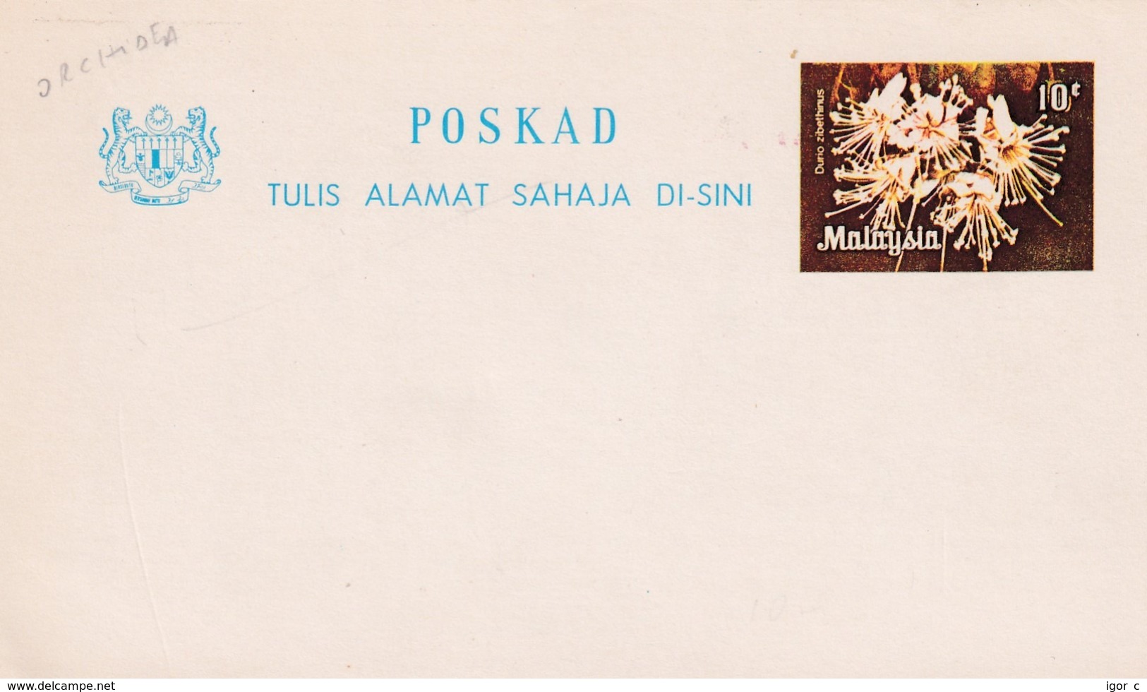 Malaysia Postal Stationery Card; Flora Flowers; Orchid Orchis Orchidee - Orchideen