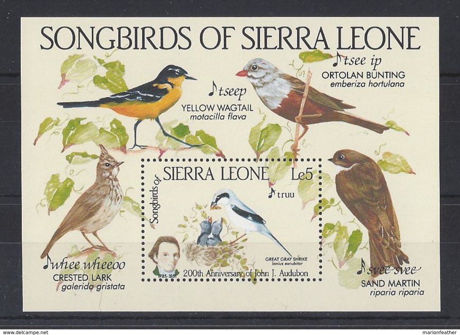 SIERRA LEONE...QUEEN ELIZABETH II.(1952-NOW)..." SONG BIRDS..... .".......MINI SHEETS. ...MH... - Passereaux