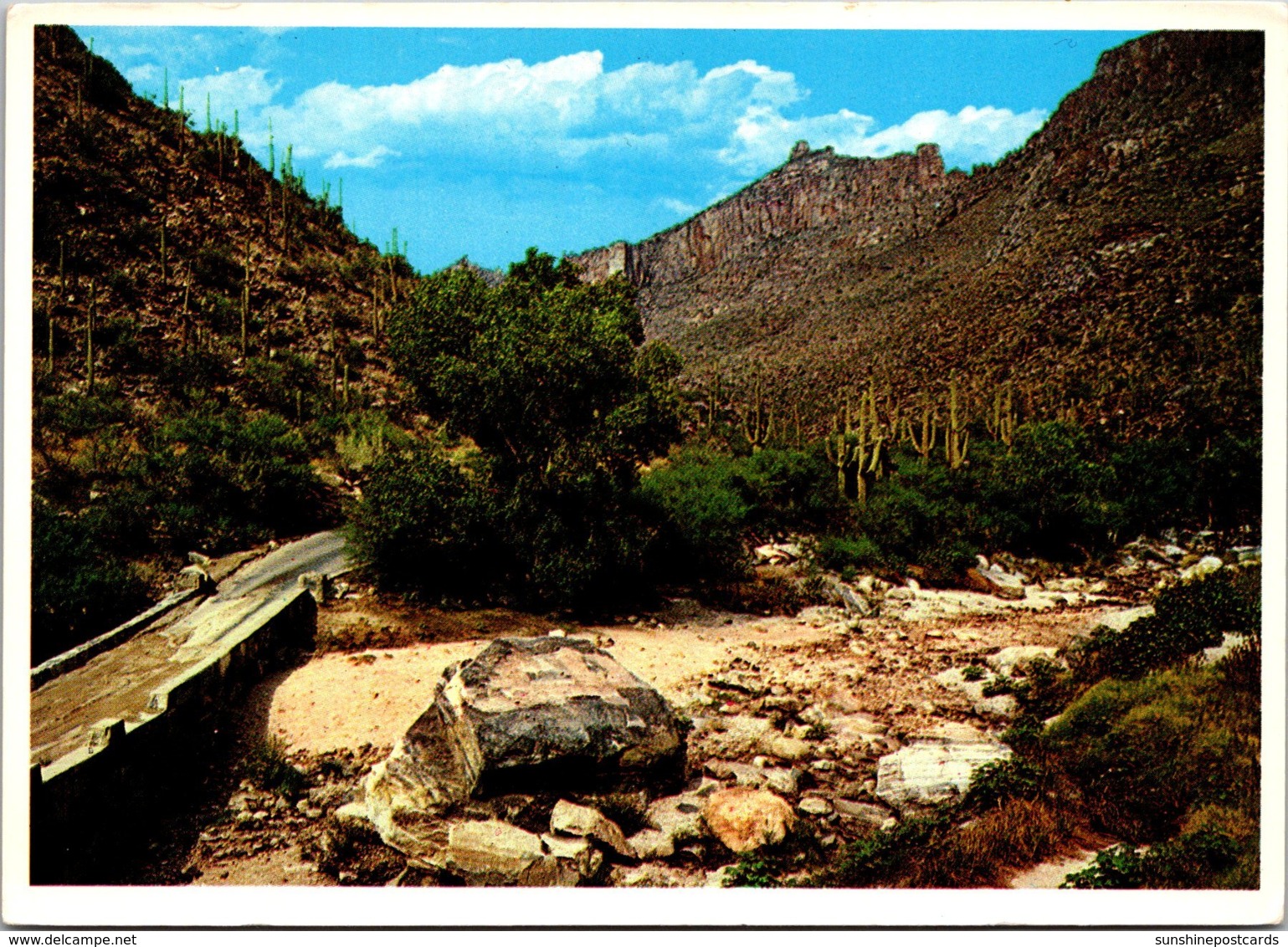 Arizona Tucson Sabino Canyon - Tucson