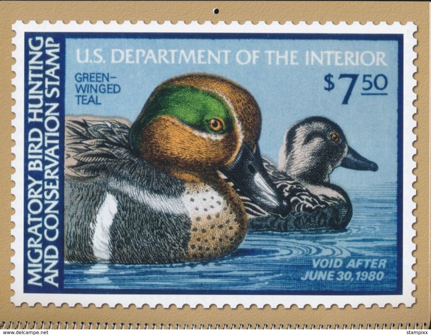 USA Calendar Ducks. Migratory Birds And Hunting Conservation Stamp 2019 - Altri & Non Classificati