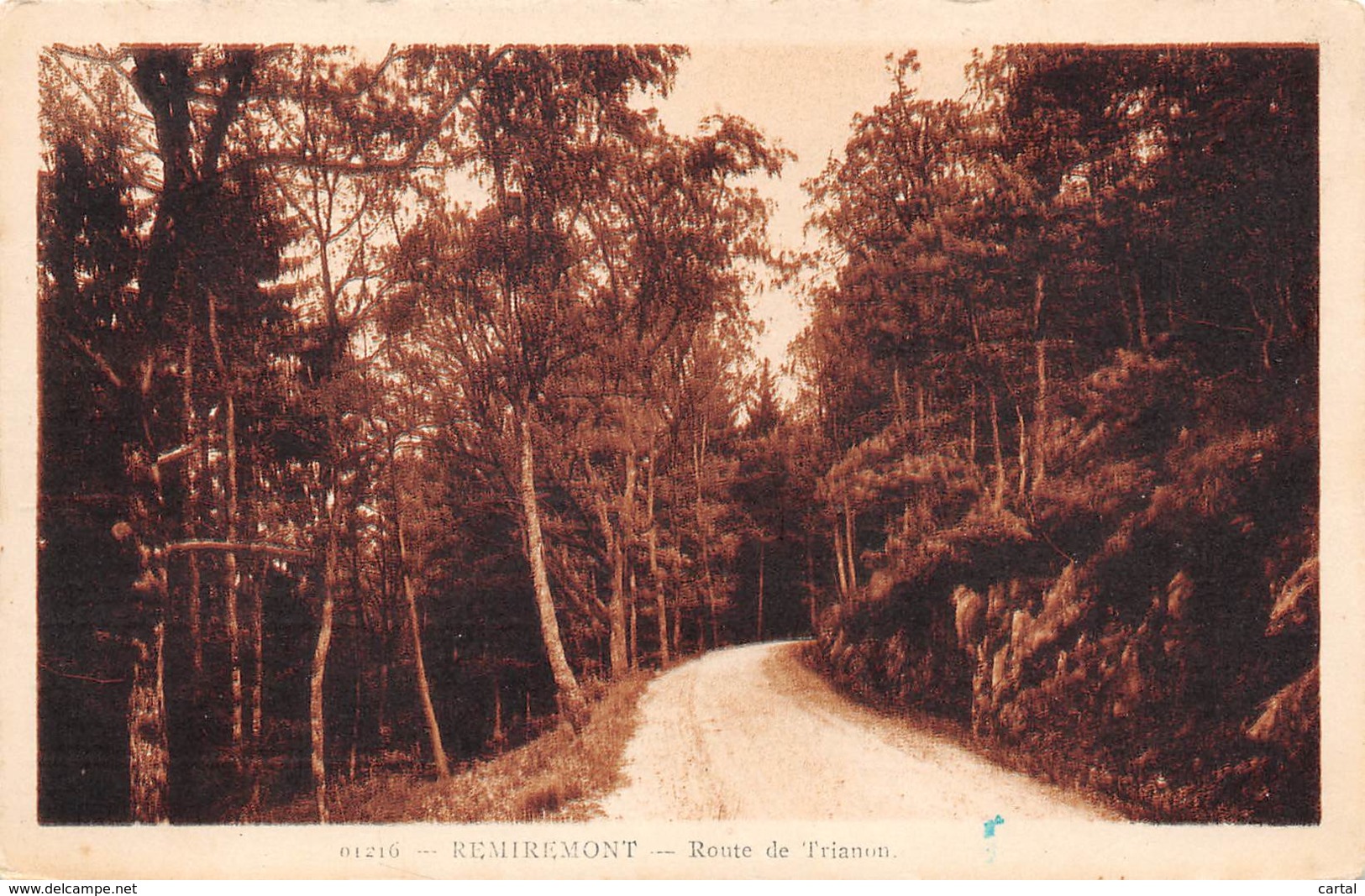 88 - REMIREMONT - Route De Trianon - Remiremont