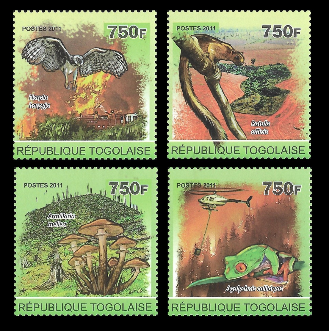 Togo Forest Fire Helicopter Frog Owl Mushroom Squirrel 4v Set Mi:3984-87 - Autres & Non Classés