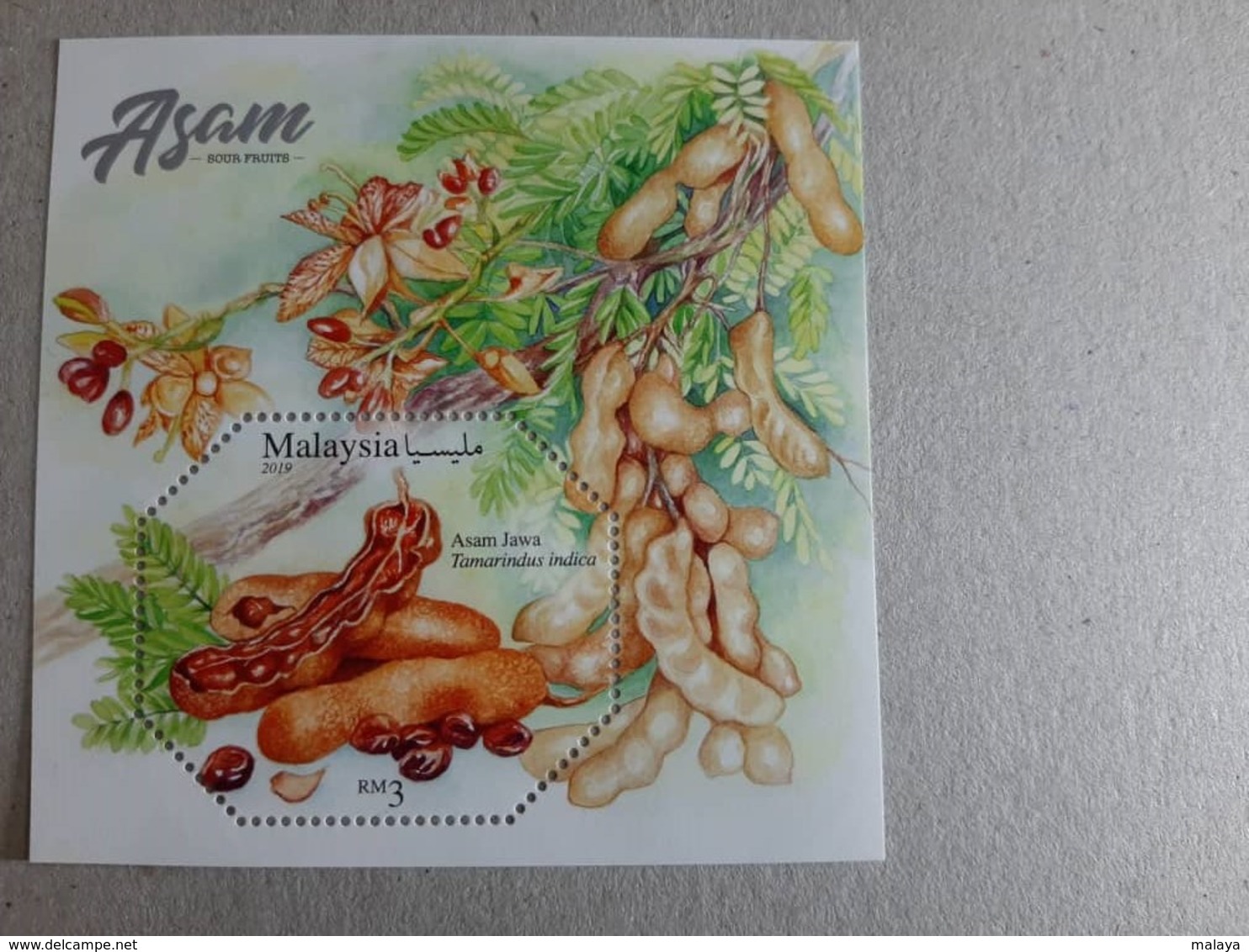 2019 Malaysia Sour Fruit Food Flower Flora Plant Tree Combo Stamp Set & MS Miniture MNH - Malaysia (1964-...)