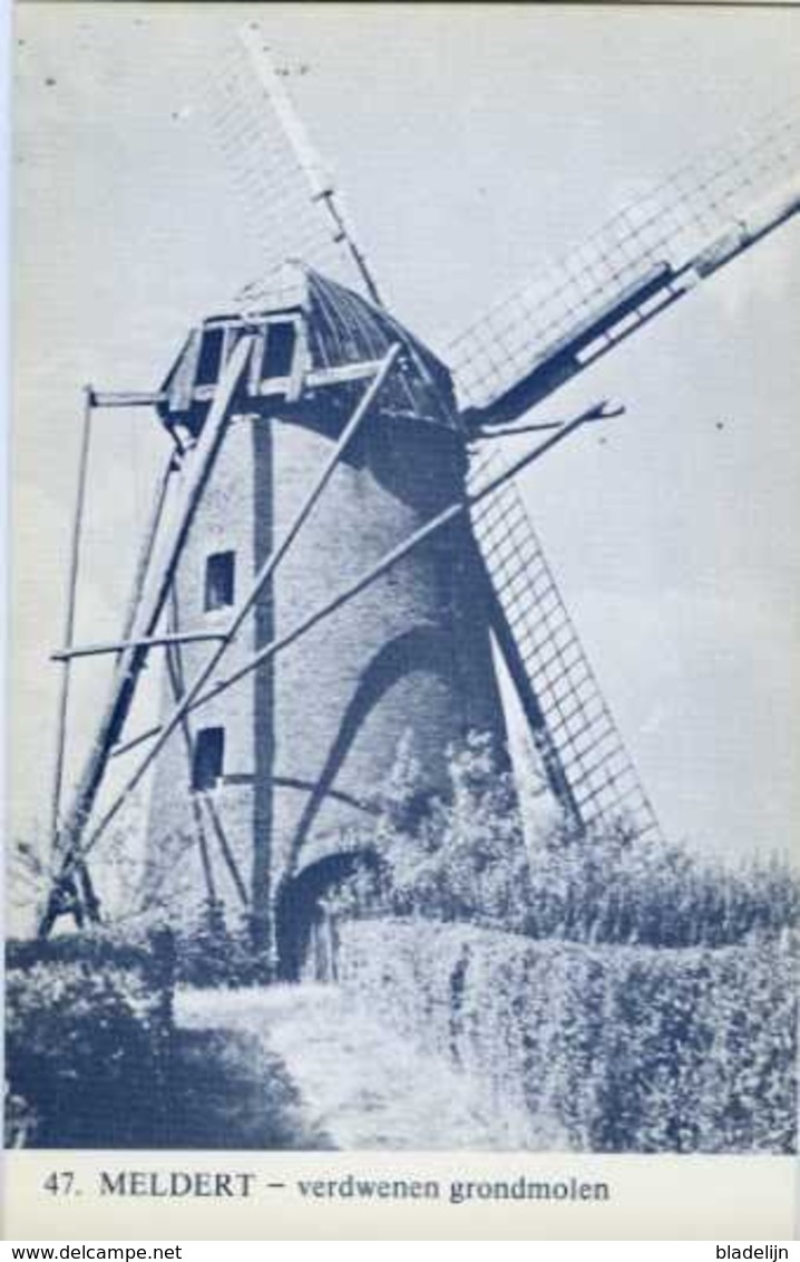 MELDERT Bij Lummen (Limburg) - Molen/moulin - Blauwe Prentkaart Ons Molenheem Van De Verdwenen Stenen Molen - Lummen