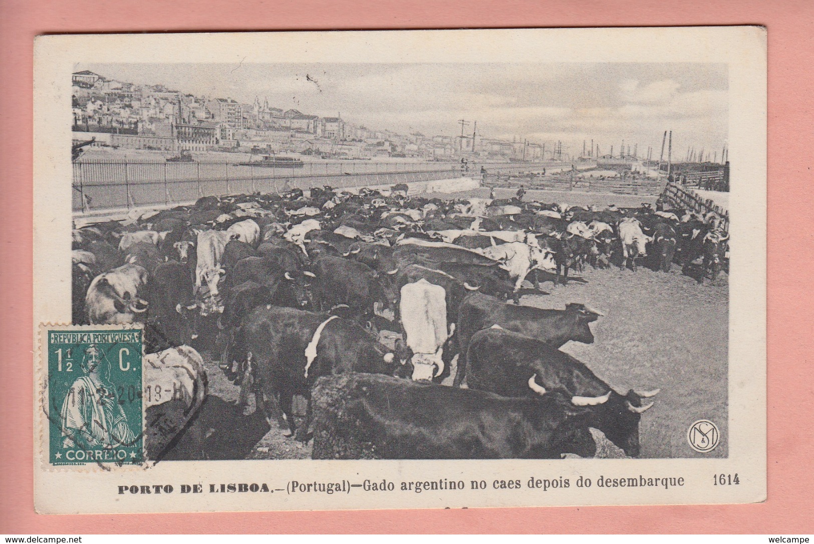 OLD POSTCARD PORTUGAL - LISBOA - GADO ARGENTINO DEPOIS DESEMBARQUE - Lisboa