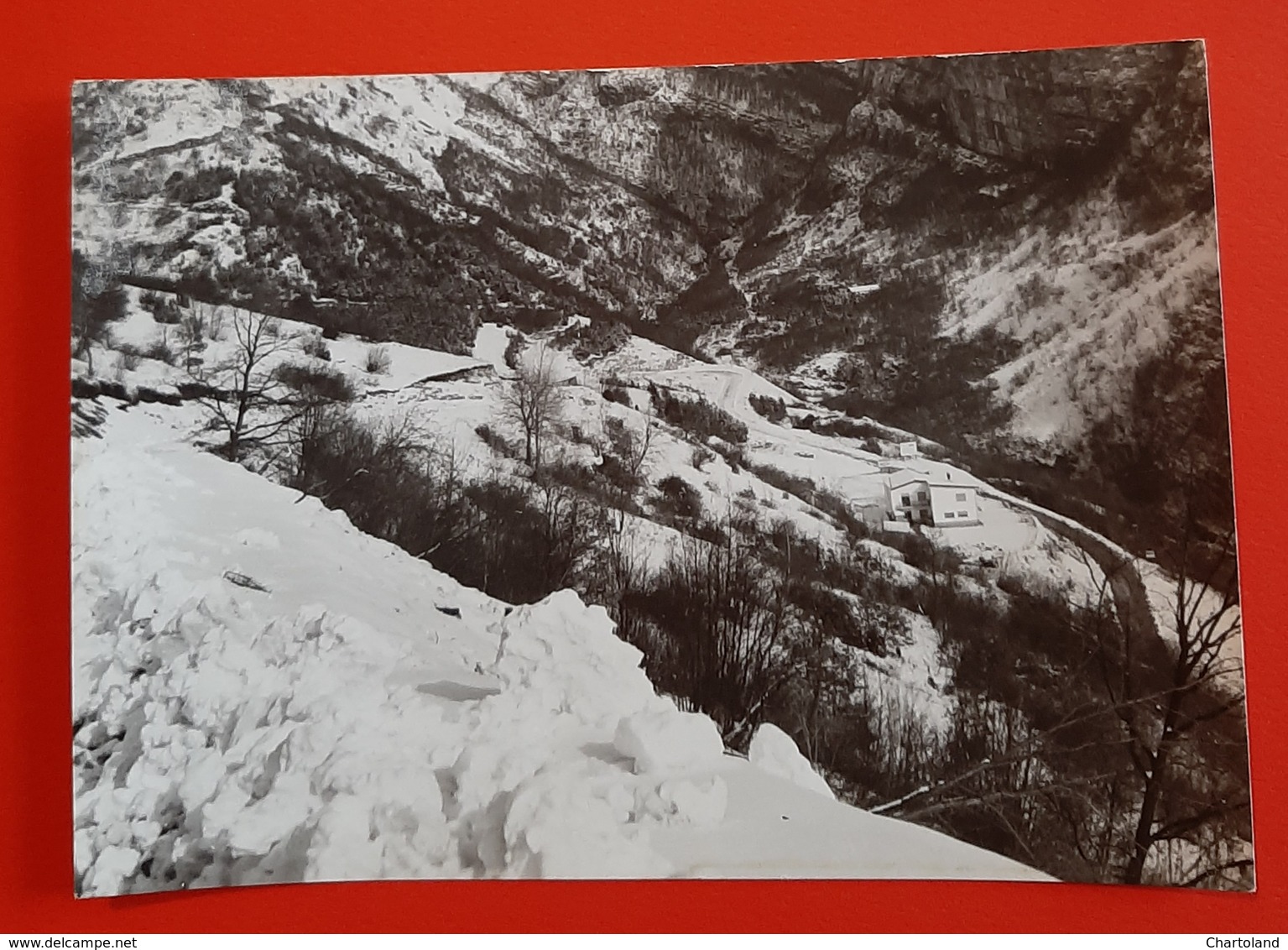 Cartolina Chalet Belvedere - Dardago - 1969 - Pordenone