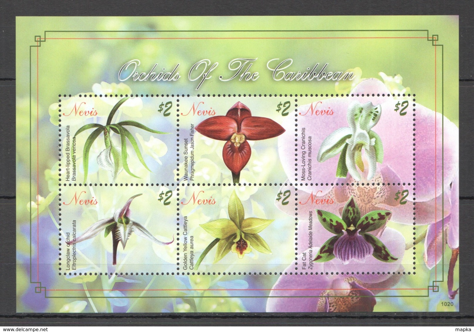 A387 2010 NEVIS  FLOWERS ORCHIDS OF THE CARIBBEAN FLORA 1KB MNH - Orchideeën