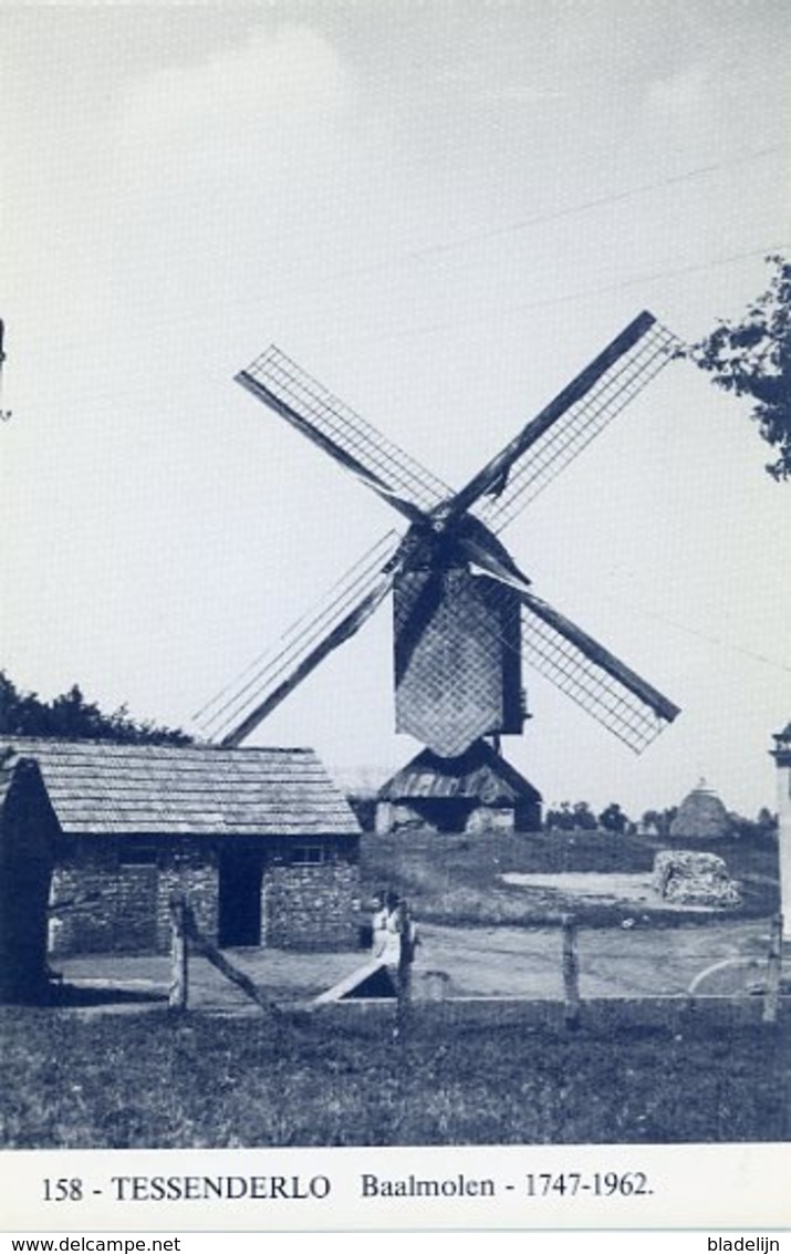 TESSENDERLO (Limburg) - Molen/moulin - Blauwe Prentkaart Ons Molenheem Van De Verdwenen Houten Baalmolen - Tessenderlo