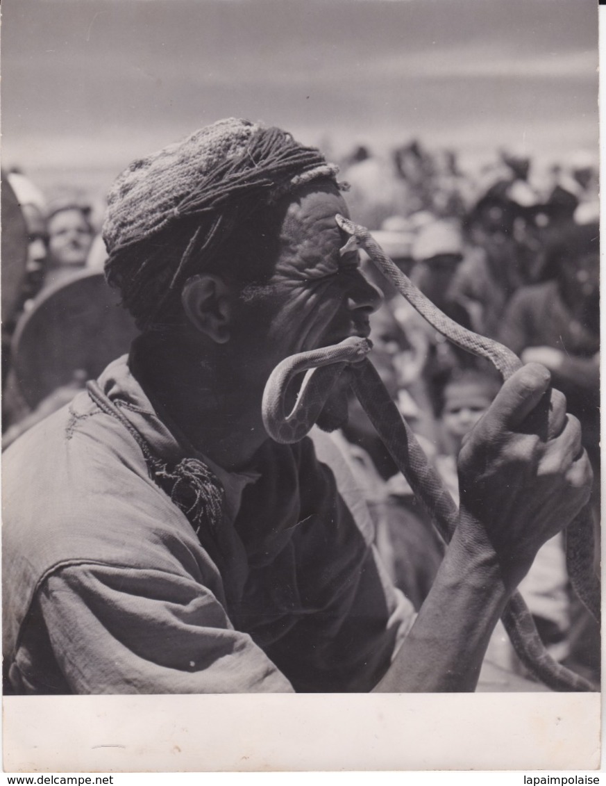 Photographie Maroc RARE Photo De Jacques Belin Tamponnée Numérote Circa 1960 Charmeur De Serpent ( Ref 191346) - Afrika