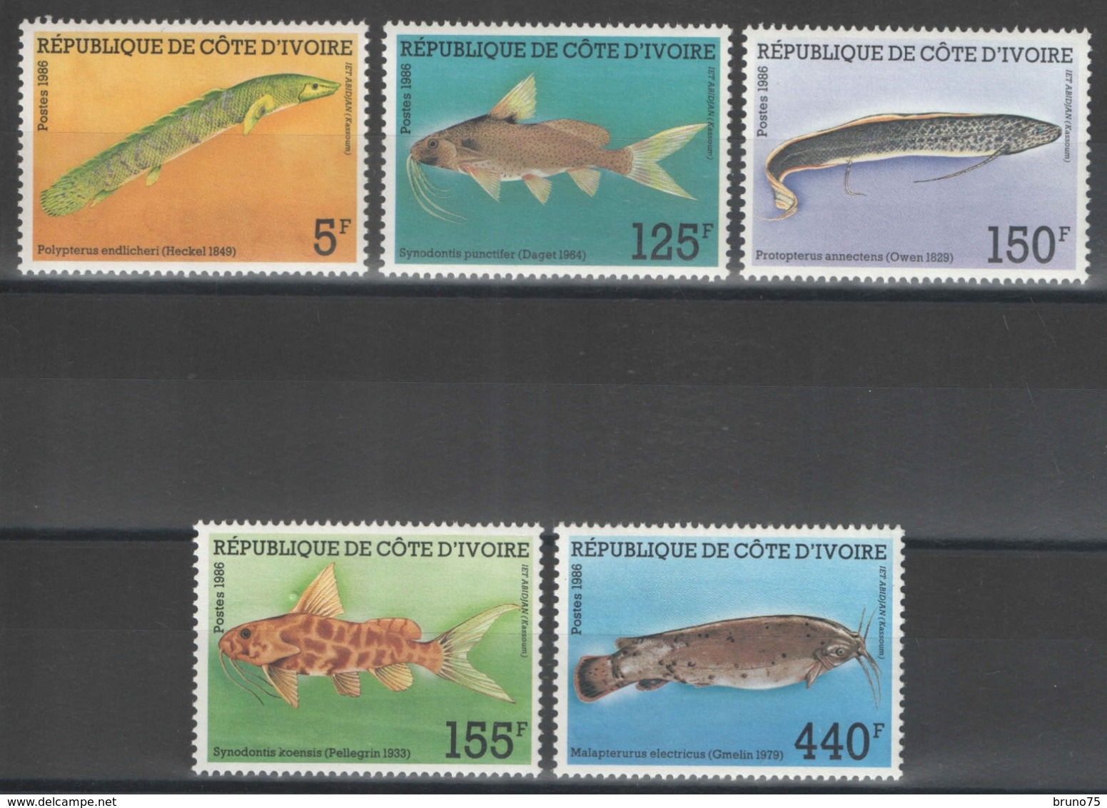 Côte D'Ivoire - YT 763-767 ** MNH - 1986 - Poissons - Fishes - Ivoorkust (1960-...)