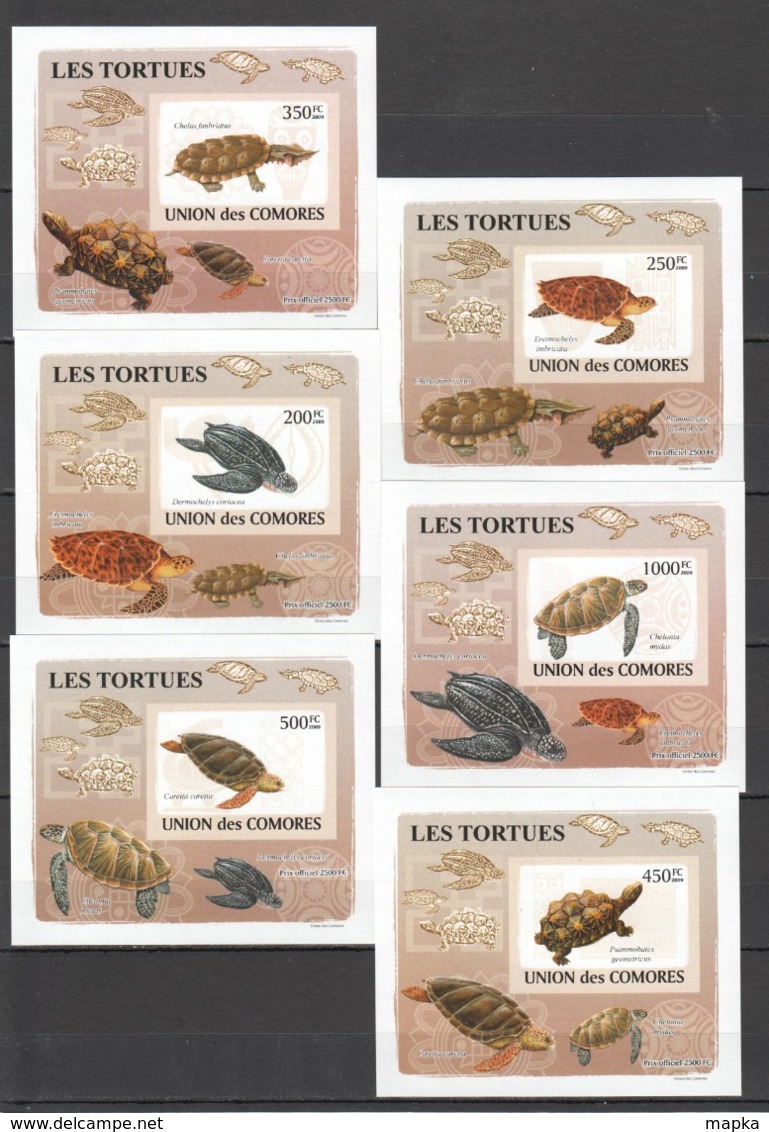 AA243 !!! IMPERFORATE 2009 COMORES ANIMALS REPTILES TURTLES TORTUES 6 LUX BL MNH - Turtles