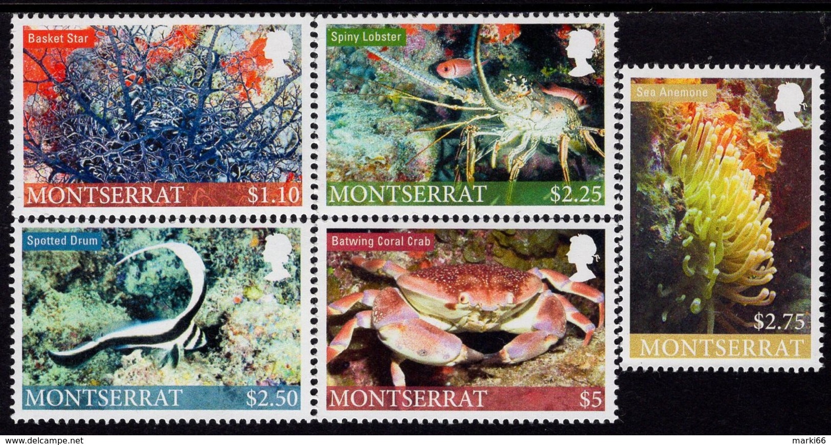 Montserrat - 2010 - Marine Life - Mint Stamp Set - Montserrat