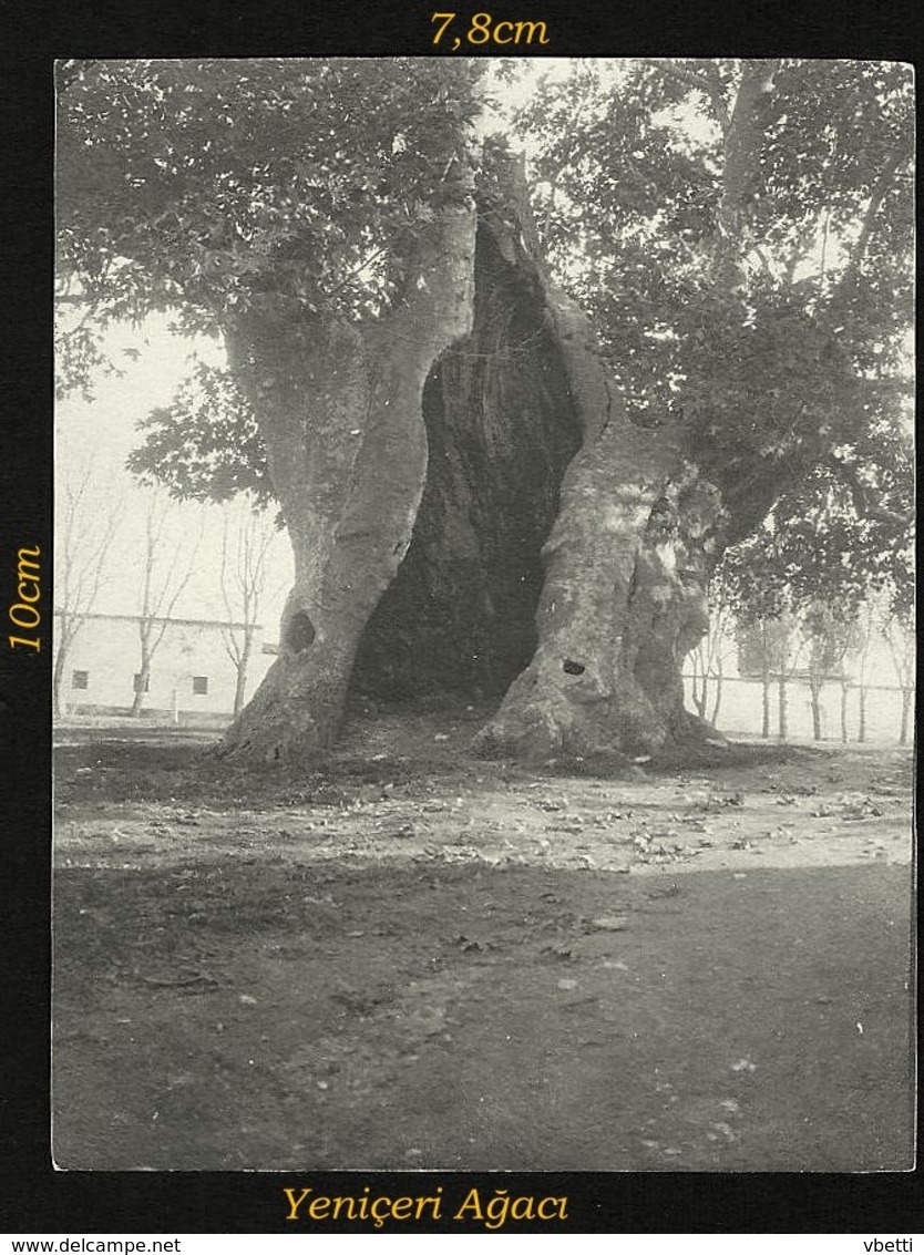 Türkei / Turkey / Türkiye: Konstantinopel (Constantinople / Istanbul)  21 stück fotos  cca1905