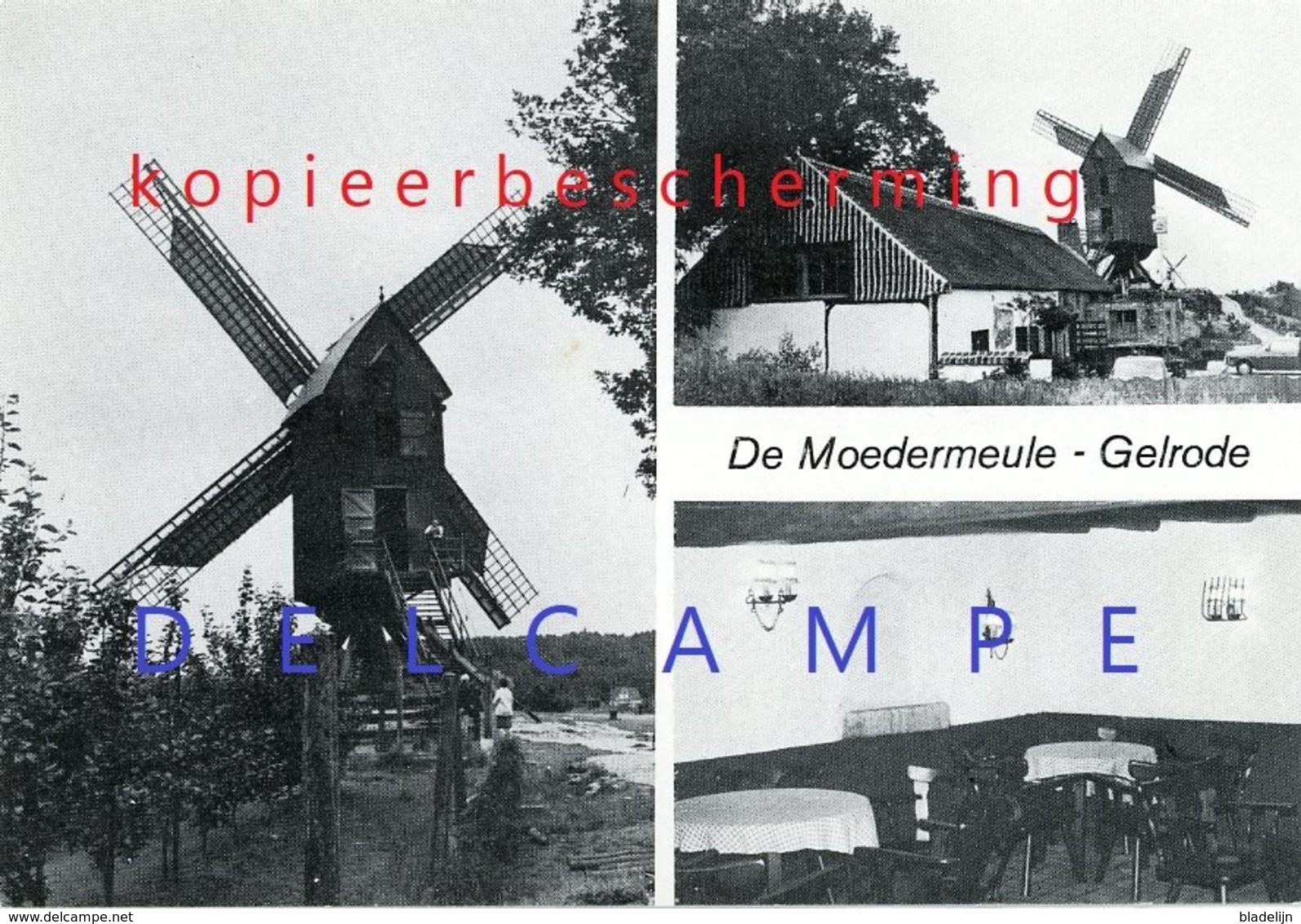 GELRODE - Aarschot (Vlaams-Brabant) - Molen/moulin - De Moedermeule In Werking, Kort Na De Restauratie Van 1976 - Aarschot