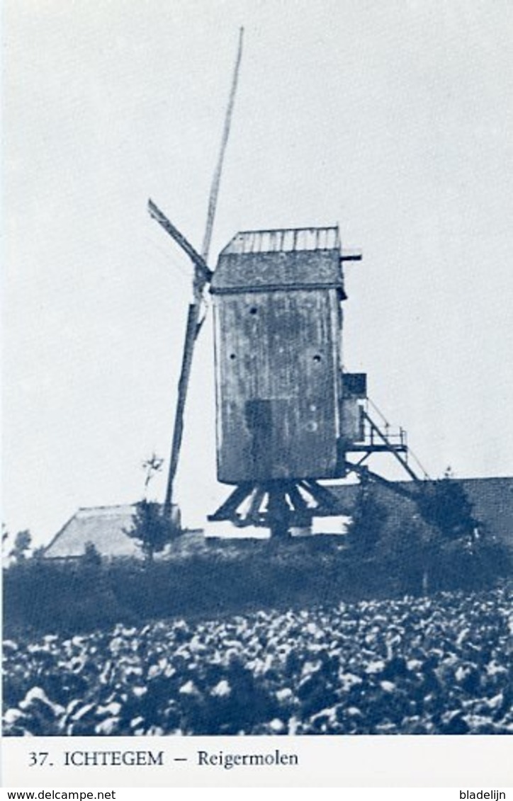 ICHTEGEM (W.Vl.) - Molen/moulin - Blauwe Prentkaart Ons Molenheem Van De Reigermolen, Een Zeldzame Houten Oliestaakmolen - Ichtegem