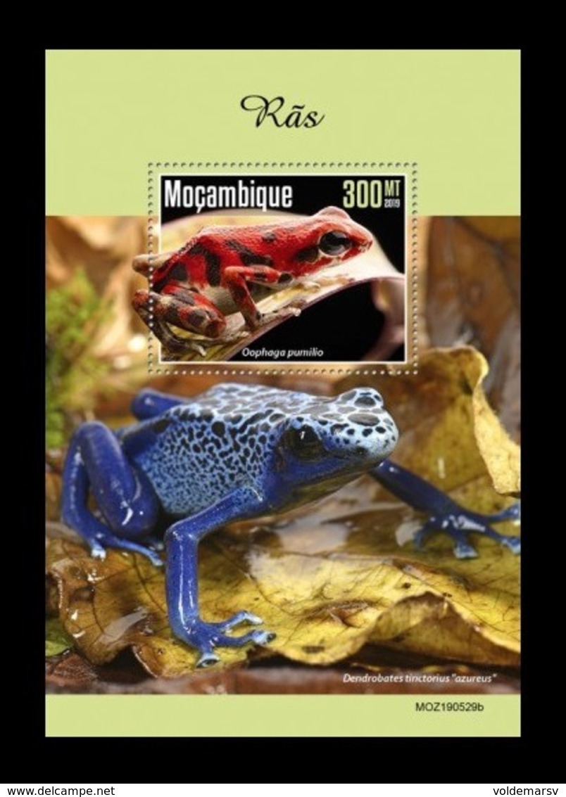 Mozambique 2019 Mih. 10651 (Bl.1572) Fauna. Frogs MNH ** - Mozambique