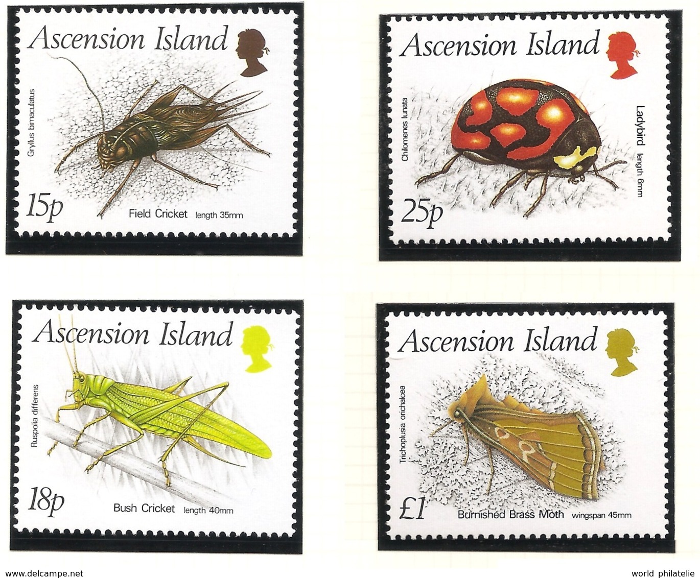 Ascension 1988 N° 447 / 50 ** Insectes, Coléoptère, Grillon Provençal, Criquet, Ruspolia, Sauterelle Coccinelle Papillon - Ascension (Ile De L')