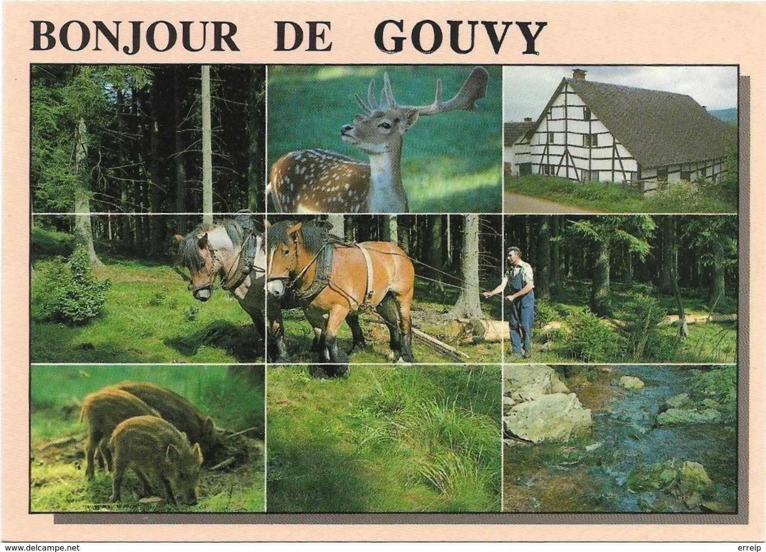 Gouvy Bonjour De Gouvy - Gouvy